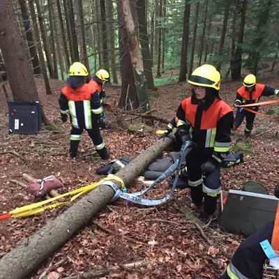 Bild